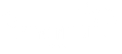The Flying Needles