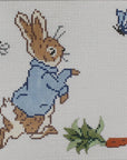 Peter Rabbie Tooth Fairy Pillow - The Flying Needles