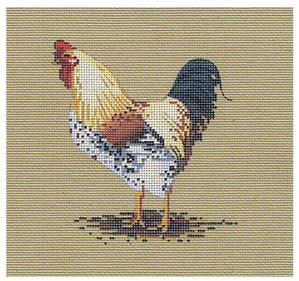 Rooster - The Flying Needles