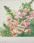 Snapdragons - The Flying Needles