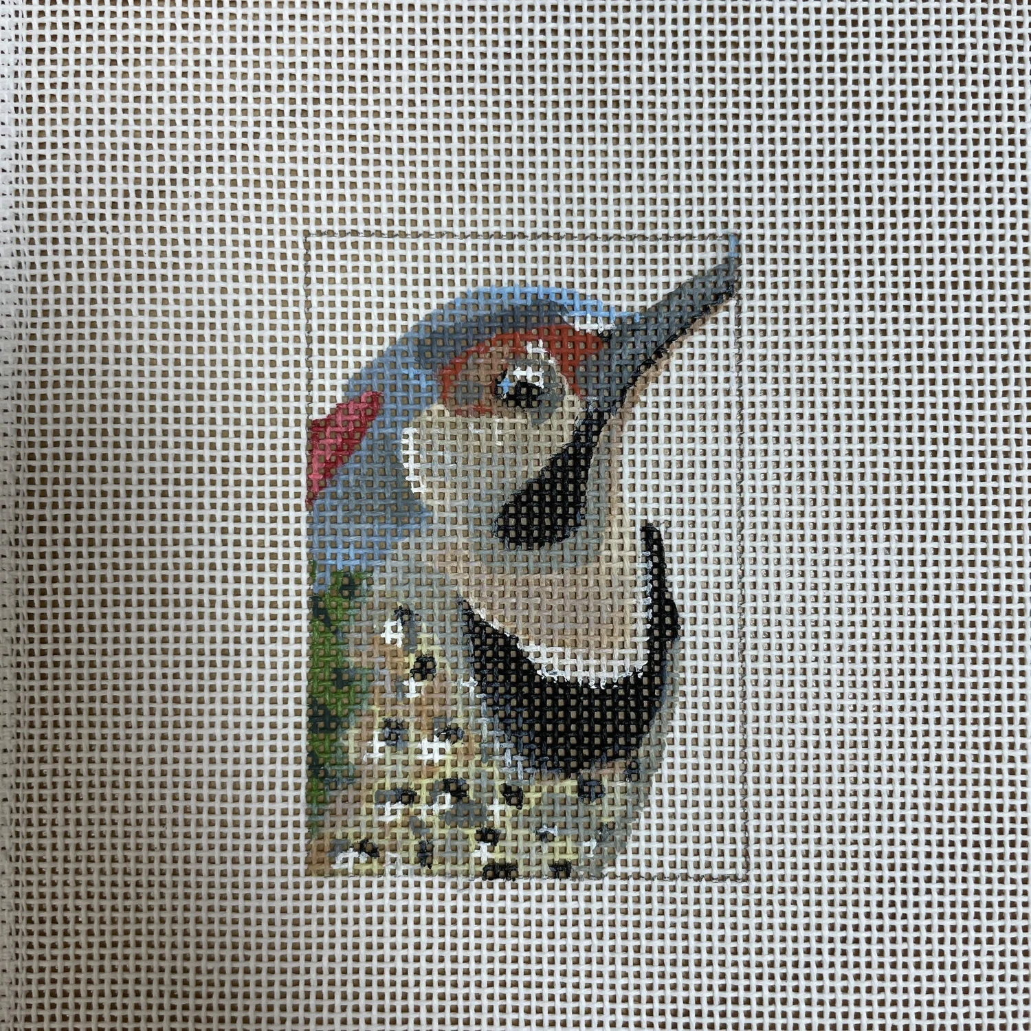 Hummingbird - The Flying Needles