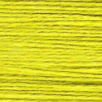 Essentials 827 Swamp - The Flying Needles