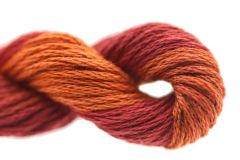 Threadworx Overdyed Floss #10771 Autumn - The Flying Needles