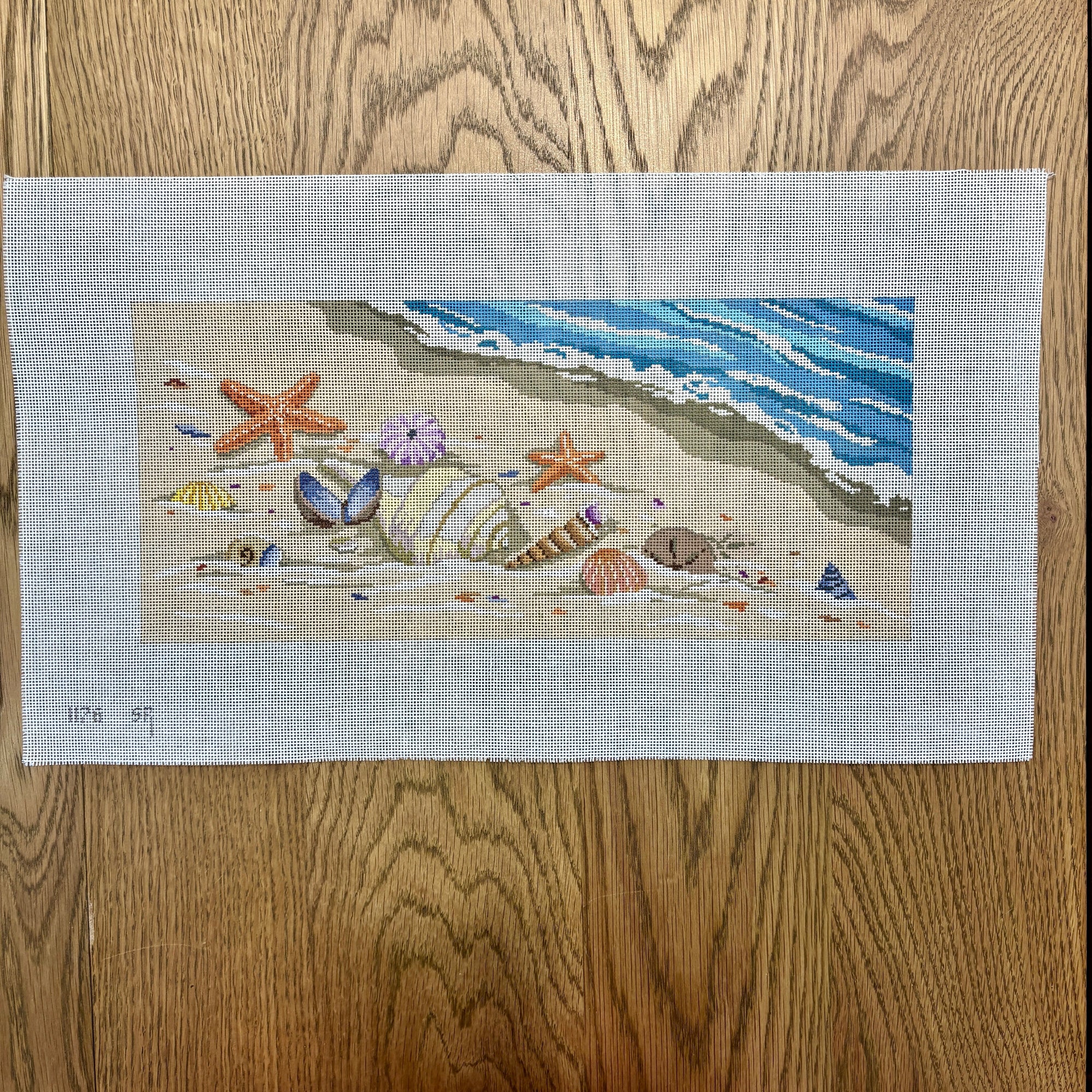 Seashells 14 x 6 - 18 mesh - The Flying Needles