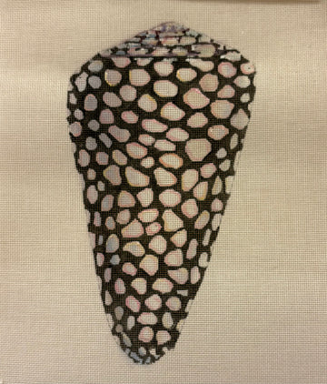 Speckled Seashell Back - The Flying Needles