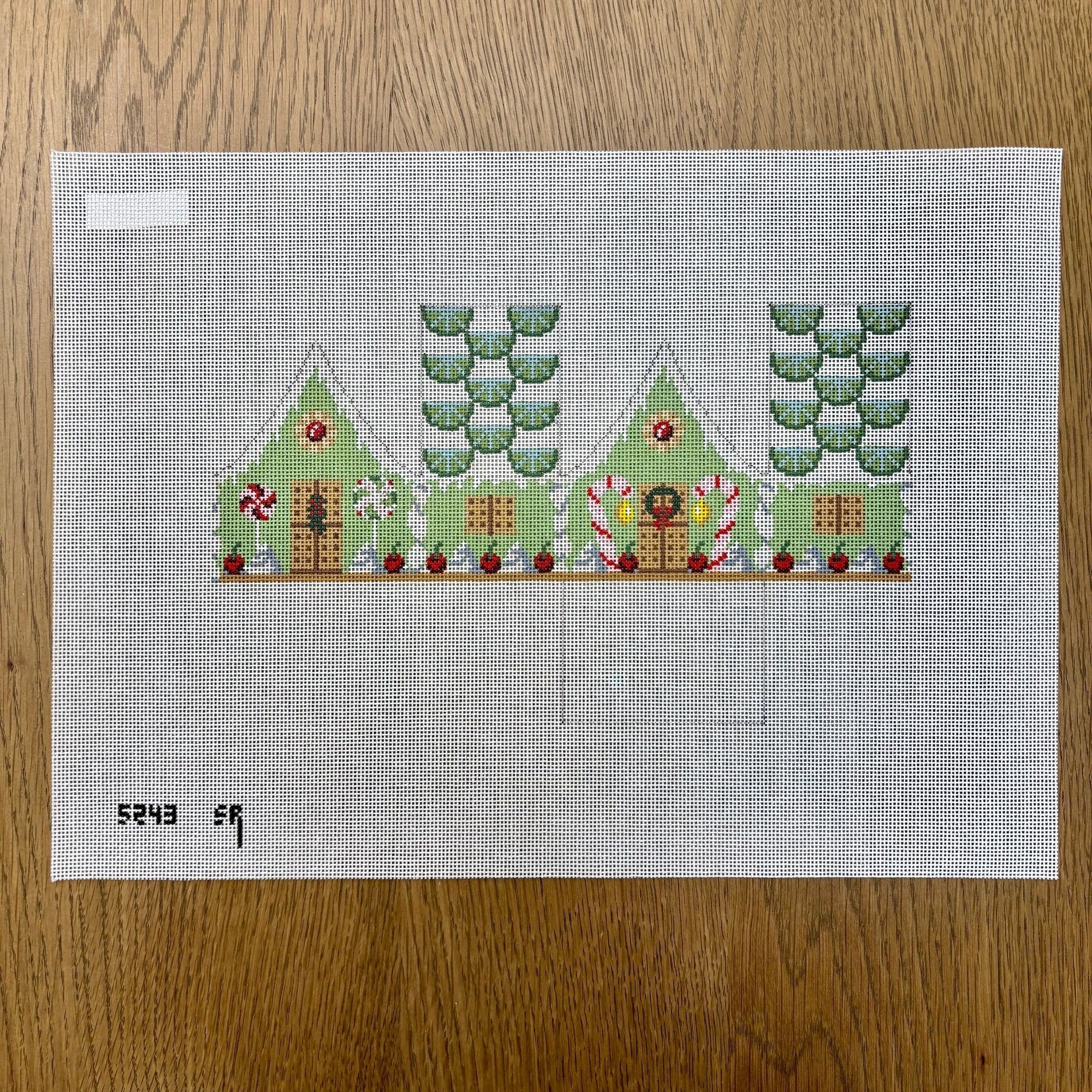 Key Lime and Cherries, 3D Gingerbread House - 18 mesh - The Flying Needles
