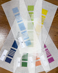 9/20 Beginner Needlepoint Class - The Flying Needles