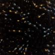 Sundance Beads 3mm Bugle Beads - The Flying Needles