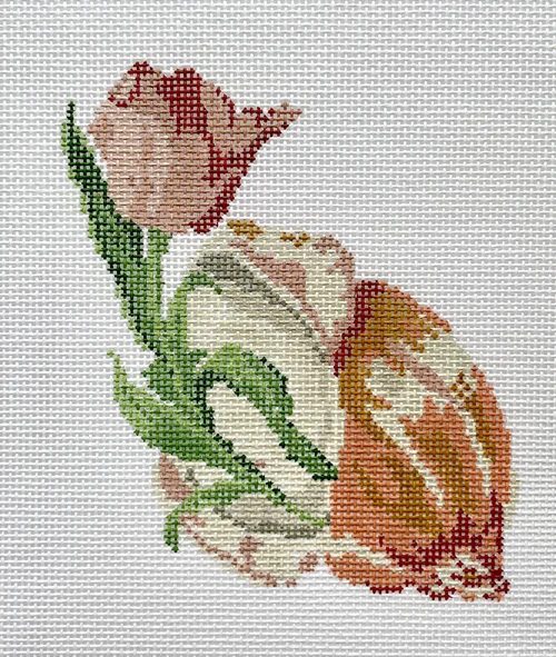 Shell Series - Tulip - The Flying Needles