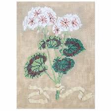 Geraniums - The Flying Needles