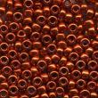 Sundance Beads Size 11 - 