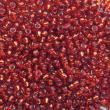 Sundance Beads Size 11 - 