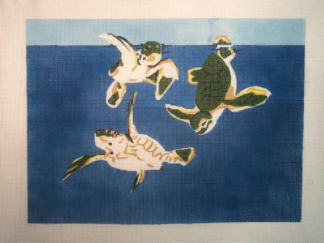 Baby Sea Turtles - The Flying Needles