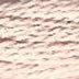 Planet Earth 6 Ply 1229 Shell - The Flying Needles