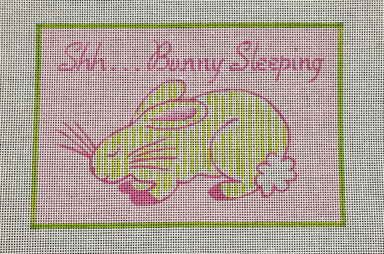 Shh . . . Bunny Sleeping - The Flying Needles