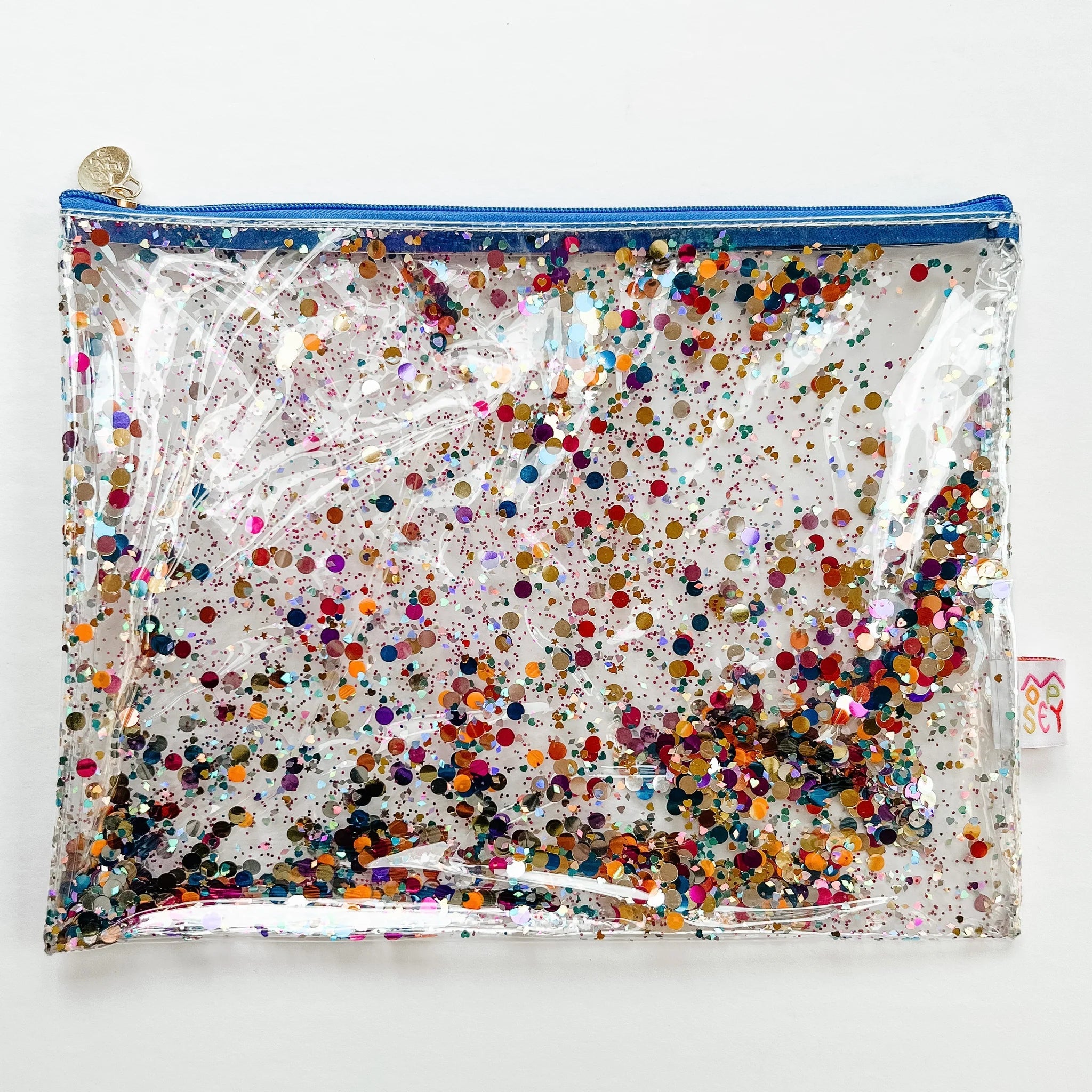 Small Glitter Project Bag - The Flying Needles