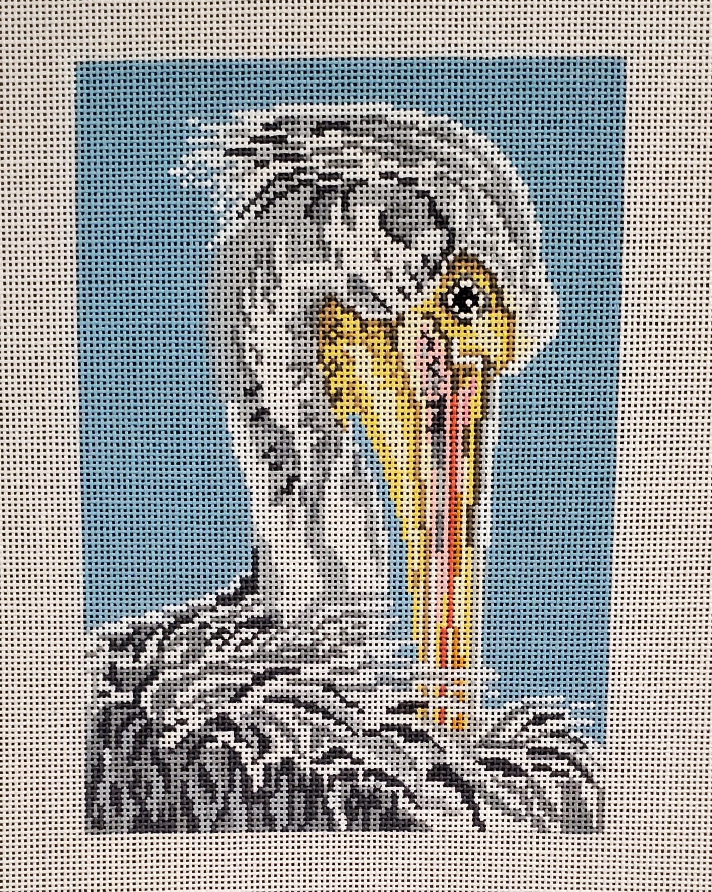 White Pelican - The Flying Needles